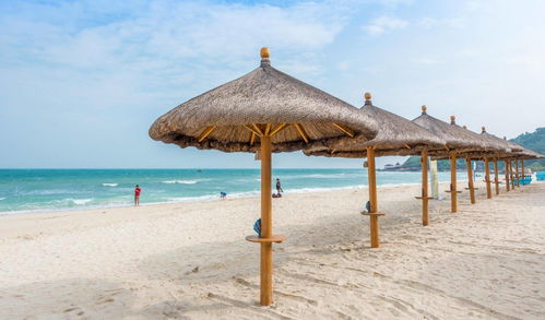 復(fù)星旅文錢建農(nóng) 豐富旅游產(chǎn)品，加強布局海南